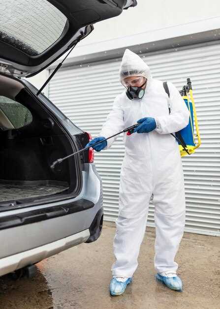 Regular Maintenance Tips for Mold Prevention