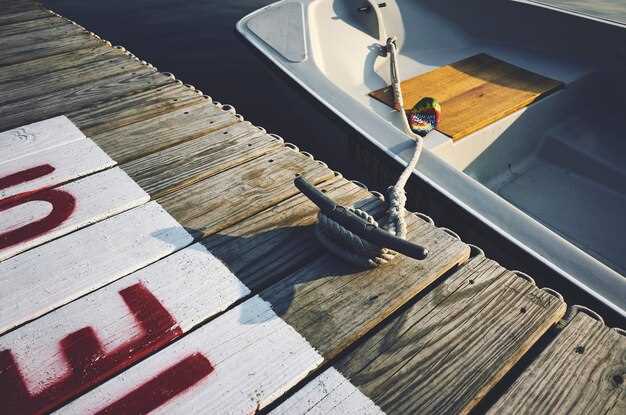 Applying Finishing Touches: Paint and Protective Coatings